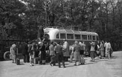 1955, Nagy Gyula, bus, Hungarian brand, Ikarus-brand, MÁVAUT-organisation, travelling, roof rack, Fortepan #51708