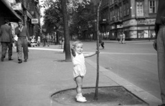 Hungary, Budapest V., Egyetem tér, szemben a Kecskeméti utca., 1955, Nagy Gyula, sign-board, street view, genre painting, kid, Budapest, Fortepan #51761