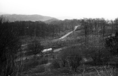 Magyarország, Galyatető, Mátraszentimre, kilátás a Nagyszálló felől a Mátrai útra., 1954, Nagy Gyula, autóbusz, magyar gyártmány, Ikarus-márka, Fortepan #51783