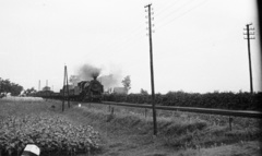 Magyarország, MÁV 411-es (Truman) gőzmozdony tehervonatával., 1953, Nagy Gyula, gőzmozdony, MÁV, vasút, amerikai gyártmány, légvezeték, vasúti szerelvény, MÁV 411 sorozat, Fortepan #51798