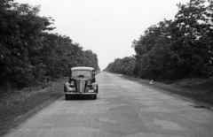 1953, Nagy Gyula, Fiat-márka, olasz gyártmány, országút, automobil, rendszám, Fortepan #51799