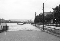 Magyarország, Budapest V., pesti alsó rakpart a Petőfi térnél a Széchenyi Lánchíd felé nézve., 1954, Nagy Gyula, híd, árvíz, kerítés, rakpart, Budapest, függőhíd, William Tierney Clark-terv, Fortepan #51829