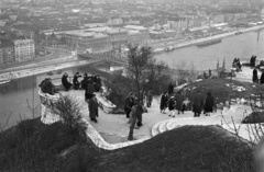 Magyarország, Gellérthegy, Budapest XI., kilátás a Szabadság híd és a Fővám (Dimitrov) tér felé., 1953, Nagy Gyula, korlát, látkép, Duna, Budapest, Duna-híd, Feketeházy János-terv, Fortepan #51895