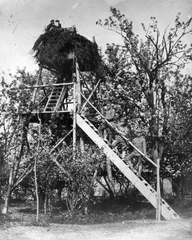 Repülő megfigyelőhely., 1916, Komlós Péter, First World War, lookout, Fortepan #52259