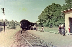 Magyarország, Bakonyszentlászló, Vinye (ekkor Vinye-Sándormajor), vasútállomás., 1959, Fortepan, MÁV, vasút, színes, életkép, légvezeték, lámpaoszlop, pad, vonat, Fortepan #528