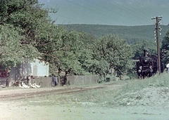 Magyarország, Bakonyszentlászló, Vinye (ekkor Vinye-Sándormajor), vasútállomás., 1959, Fortepan, gőzmozdony, MÁV, vasút, színes, baromfi, felsővezeték, Fortepan #529