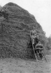 1936, Vargha Zsuzsa, sitting on a ladder, hay, Fortepan #52936