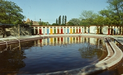 Magyarország, Hajdúszoboszló, Strand., 1976, Balázs Lajos, strand, medence, színes, öltözőkabin, medence létra, kabinsor, Fortepan #53346