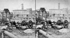 Olaszország, Róma, Forum Romanum, háttérben a Capitolium., 1900, Fortepan, szarvasmarha, antik kultúra, sztereófotó, Fortepan #53474