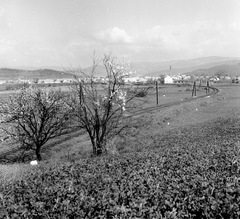 Szlovákia, Poltár, Ipolyszele (ekkor önálló, ma a város része) délkelet felől., 1959, Zsanda Zsolt, Vajszada Károly, Csehszlovákia, tavasz, rügyfakadás, sínpálya, Fortepan #53733