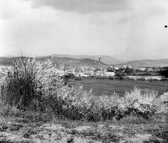 Szlovákia, Poltár, Ipolyszele (ekkor önálló, ma a város része)., 1959, Zsanda Zsolt, Vajszada Károly, Csehszlovákia, gyárkémény, bokor, Fortepan #53735