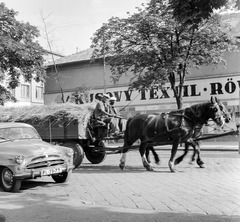 Slovakia, Lučenec, ulica Tomása Garrigue Masaryka, balra az ulica Jána Amosa Komenského torkolata., 1959, Zsanda Zsolt, Vajszada Károly, Czechoslovakia, Horse-drawn carriage, Skoda-brand, number plate, clothing store, bilingual sign, Fortepan #53767