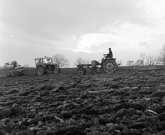 Slovakia, Poltár, 1959, Zsanda Zsolt, Vajszada Károly, Czechoslovakia, tractor, agriculture, Fortepan #53806