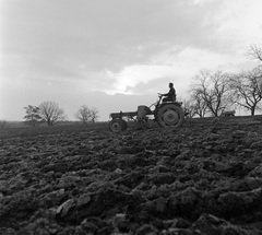 Slovakia, Poltár, 1959, Zsanda Zsolt, Vajszada Károly, Czechoslovakia, tractor, agriculture, Fortepan #53807