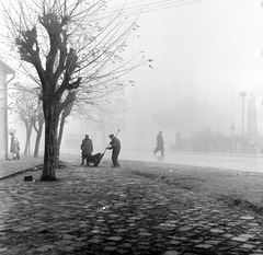 Slovakia, Fiľakovo, ulica Hlavná (Fő utca)., 1959, Zsanda Zsolt, Vajszada Károly, Czechoslovakia, sweeper, fog, Fortepan #53823