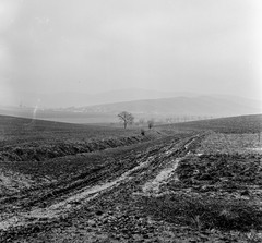 1959, Zsanda Zsolt, Vajszada Károly, mud, Fortepan #53835