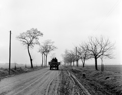 1959, Zsanda Zsolt, Vajszada Károly, Horse-drawn carriage, Fortepan #53836