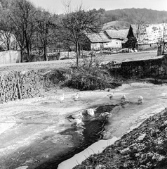 Szlovákia, Poltár, Poltarica-patak, túlparton az ulica Obrancov mieru., 1959, Zsanda Zsolt, Vajszada Károly, Csehszlovákia, kacsa, jég, Fortepan #53848