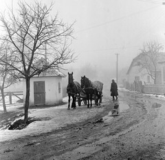 Szlovákia, Poltár, az ulica Obrancov mieru a Poltarica-patak hídja felől nézve., 1959, Zsanda Zsolt, Vajszada Károly, Csehszlovákia, falu, tél, hó, szekér, lovaskocsi, Fortepan #53857