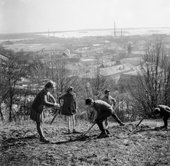 Szlovákia, Poltár, 1959, Zsanda Zsolt, Vajszada Károly, Csehszlovákia, látkép, gyerekek, kilátás, domboldal, Fortepan #53889