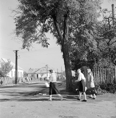 Szlovákia, Poltár, ulica Zeleznicná, a vasútállomásnál., 1960, Zsanda Zsolt, Vajszada Károly, Csehszlovákia, léckerítés, Fortepan #53945