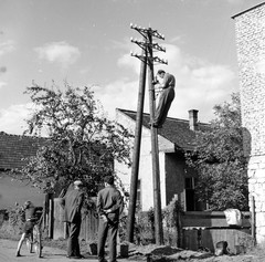 1960, Zsanda Zsolt, Vajszada Károly, bámészkodás, villanyszerelő, villanyoszlop, Fortepan #53962