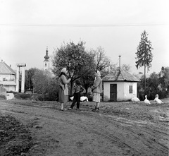 Szlovákia, Poltár, ulica Obrancov mieru a Poltarica-patak hídjánál, háttérben az evangélikus templom., 1960, Zsanda Zsolt, Vajszada Károly, Csehszlovákia, liba, Fortepan #54013