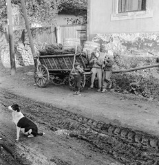 Szlovákia, Fülek, ulica Podhradska (Várfelső utca)., 1960, Zsanda Zsolt, Vajszada Károly, kutya, szekér, utcakép, hordó, gyerekek, sár, gumicsizma, Fortepan #54020