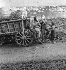 Szlovákia, Fülek, ulica Podhradska (Várfelső utca)., 1960, Zsanda Zsolt, Vajszada Károly, szekér, hordó, gyerekek, sár, gumicsizma, Fortepan #54021