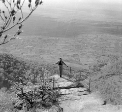 Magyarország,Mecsek,Jakab-hegy, Kővágószőlős, Zsongorkő, kilátó., 1950, Gyöngyi, kilátás, kilátó, Fortepan #5411