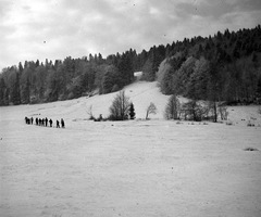 Szlovákia, Eprestető, Kassa melletti síközpont., 1942, Nagy Gyula, tél, hó, életkép, fenyőerdő, síelés, Fortepan #54144