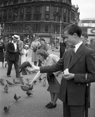 Egyesült Királyság, London, Trafalgar Square., 1938, Nagy Gyula, tér, galamb, zakó, madáretetés, Fortepan #54171