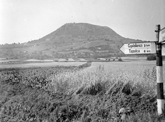 Magyarország, Káptalantóti, Tapolcai-medence, szemben a vulkáni eredetű Csobánc., 1949, Gyöngyi, útjelző tábla, látkép, tábla, Fortepan #5431