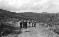 Magyarország, Szentendre, Visegrádi-hegység, kilátás észak felé a Lajos forráshoz vezető útról, balra a dömörkapui kőbánya., 1958, Lencse Zoltán, fiúk, kirándulás, földút, Fortepan #54552