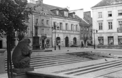 Lengyelország, Varsó, Újvárosi Piactér (Rynek Nowego Miasta)., 1958, Lencse Zoltán, kút, szobor, Fortepan #54671