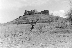 Magyarország, Boldogkőváralja, Boldogkő vára., 1961, Gyöngyi, várrom, Fortepan #5472