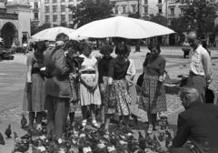 Lengyelország, Krakkó, Rynek Glówny a város főtere., 1958, Lencse Zoltán, galamb, madáretetés, Fortepan #54744