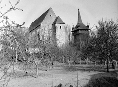 Magyarország, Nyírbátor, gótikus református templom, reneszánsz fa harangtoronnyal., 1962, Gyöngyi, templom, kert, kerítés, gyümölcsös, harangláb, Fortepan #5489