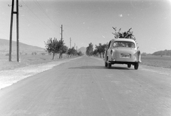 Magyarország, Sümeg, a 84-es főút, háttérben a Vár., 1963, Fortepan, német gyártmány, Trabant-márka, látkép, automobil, rendszám, Fortepan #5540