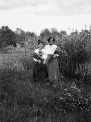 1909, Magyar Bálint, field, Fortepan #55645