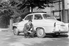 Magyarország, Budapest XII., Hollósy Simon utca 12. Skoda Octavia., 1967, Fortepan, kutya, csehszlovák gyártmány, Skoda-márka, automobil, Skoda Octavia, rendszám, tacskó, Budapest, kutyasétáltatás, országjelzés, Fortepan #5617