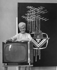 Magyarország, Székesfehérvár, a Villamossági-, Televízió- és Rádiókészülékek Gyára (VTRGY) bemutatóterme., 1966, Rádió és Televízió Újság, televízió, Videoton-márka, Fortepan #56226