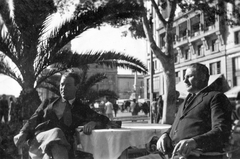 Spain,Canary Islands, Santa Cruz de Tenerife, Plaza de Espana a Plaza de Candelaria felé nézve., 1935, Balassa Péter, men, walkway, palm tree, double portrait, Fortepan #56600