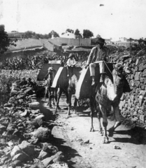 Spanyolország,Kanári-szigetek, Santa Cruz de Tenerife, 1934, Balassa Péter, teve, szikla, teherhordás, Fortepan #56657