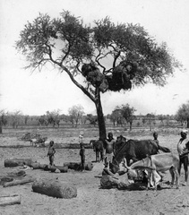 Burkina Faso, (ekkor Felső-Volta), oázis., 1927, Balassa Péter, ló, szamár, csoportosulás, gyerek, színesbőrű, afrikai bennszülött, egzotikum, Fortepan #56688