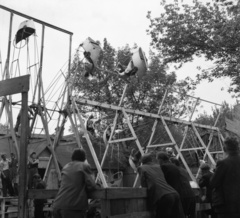 Magyarország, Városliget,Vidámpark, Budapest XIV., 1940, Góg Emese, hajóhinta, Budapest, Fortepan #56789