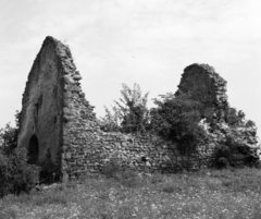 Magyarország,Balaton, Révfülöp, fülöpi templomrom., 1940, Góg Emese, rom, Fortepan #56798