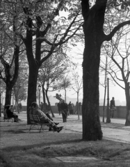 Magyarország, budai Vár, Budapest I., Tóth Árpád sétány, háttérben a Veli bej rondella és az erdélyi kettes huszárok emlékére állított lovasszobor., 1970, Piarista Levéltár/Holl Béla, utcabútor, séta, utcakép, életkép, pihenés, fasor, pad, gázlámpa, Budapest, Fortepan #56924