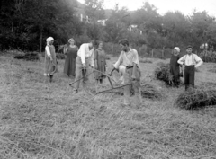 Slovenia, Lendava, (Alsólendva), aratás., 1932, Karabélyos Péter, agriculture, work, harvest, stack, scythe, sickle, Fortepan #57212