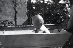 Hungary, Veszprém, Rákóczi utca 8. tetőterasza., 1935, Karabélyos Péter, yard, bathing, tub, kid, Fortepan #57429